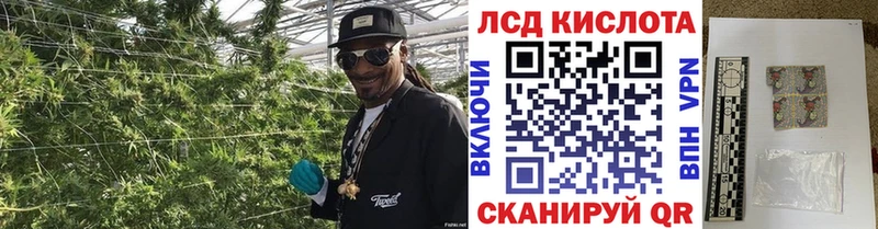 наркота  ОМГ ОМГ ТОР  Наркотические марки 1,5мг  Тимашёвск 