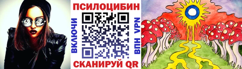 это телеграм  Тимашёвск  Псилоцибиновые грибы мицелий  магазин продажи  